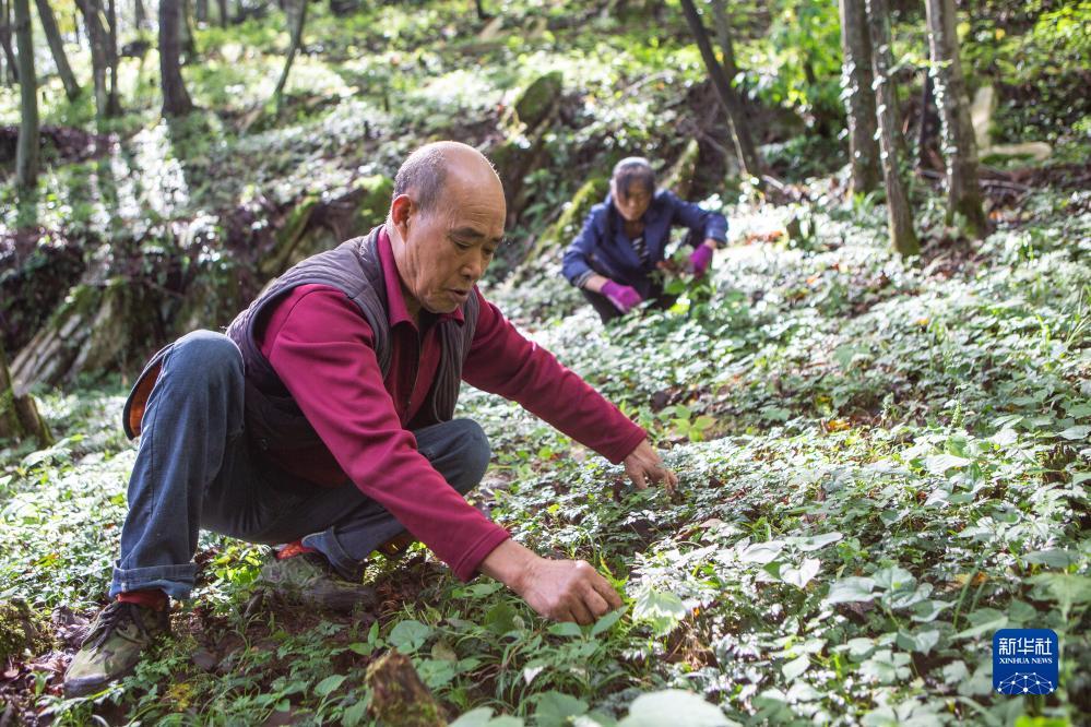 mg游戏登陆平台